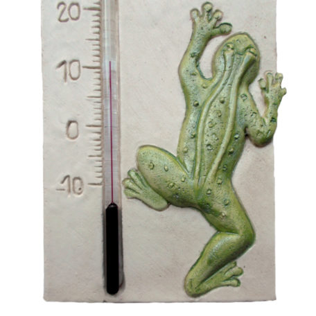 Thermomètre grenouille en gros plan