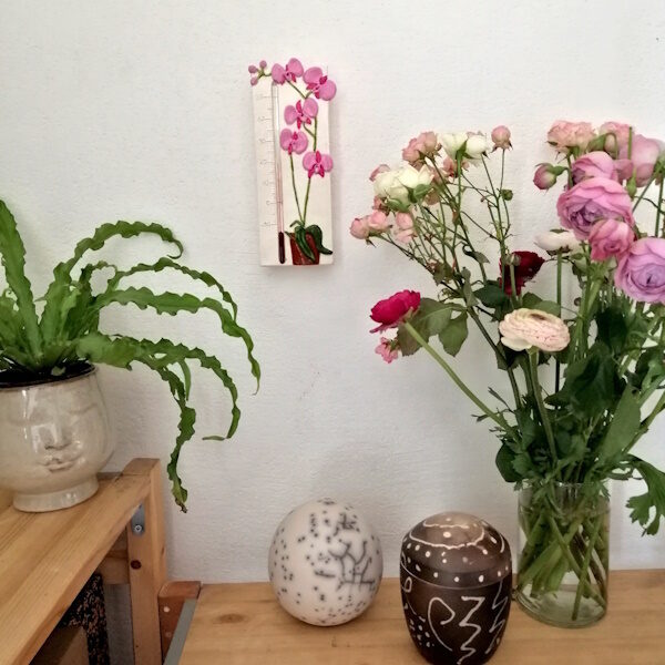 Idée cadeau pour le fête des mères? Un beau thermomètre avec orchidées roses