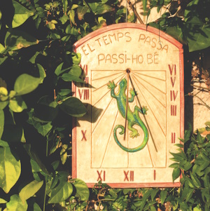 Cadran solaire gécko sur un mur avec plantes grimpantes