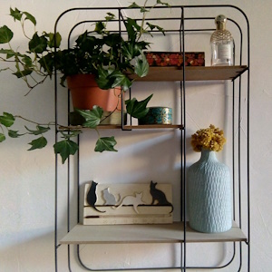 Thermomètre chats dégradé de gris, de forme horizontale, sur une étagère